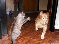 /album/fotogaleria/images-6-jpg2/